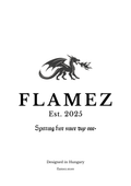 Flamez T-Shirt